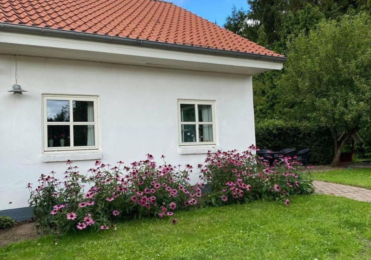 Vila Lille Grynborg Blommenslyst Exteriér fotografie