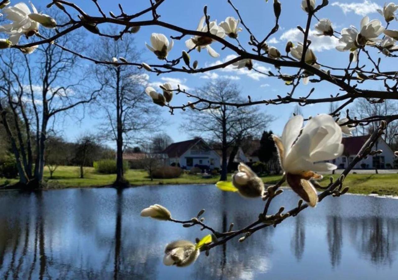 Vila Lille Grynborg Blommenslyst Exteriér fotografie