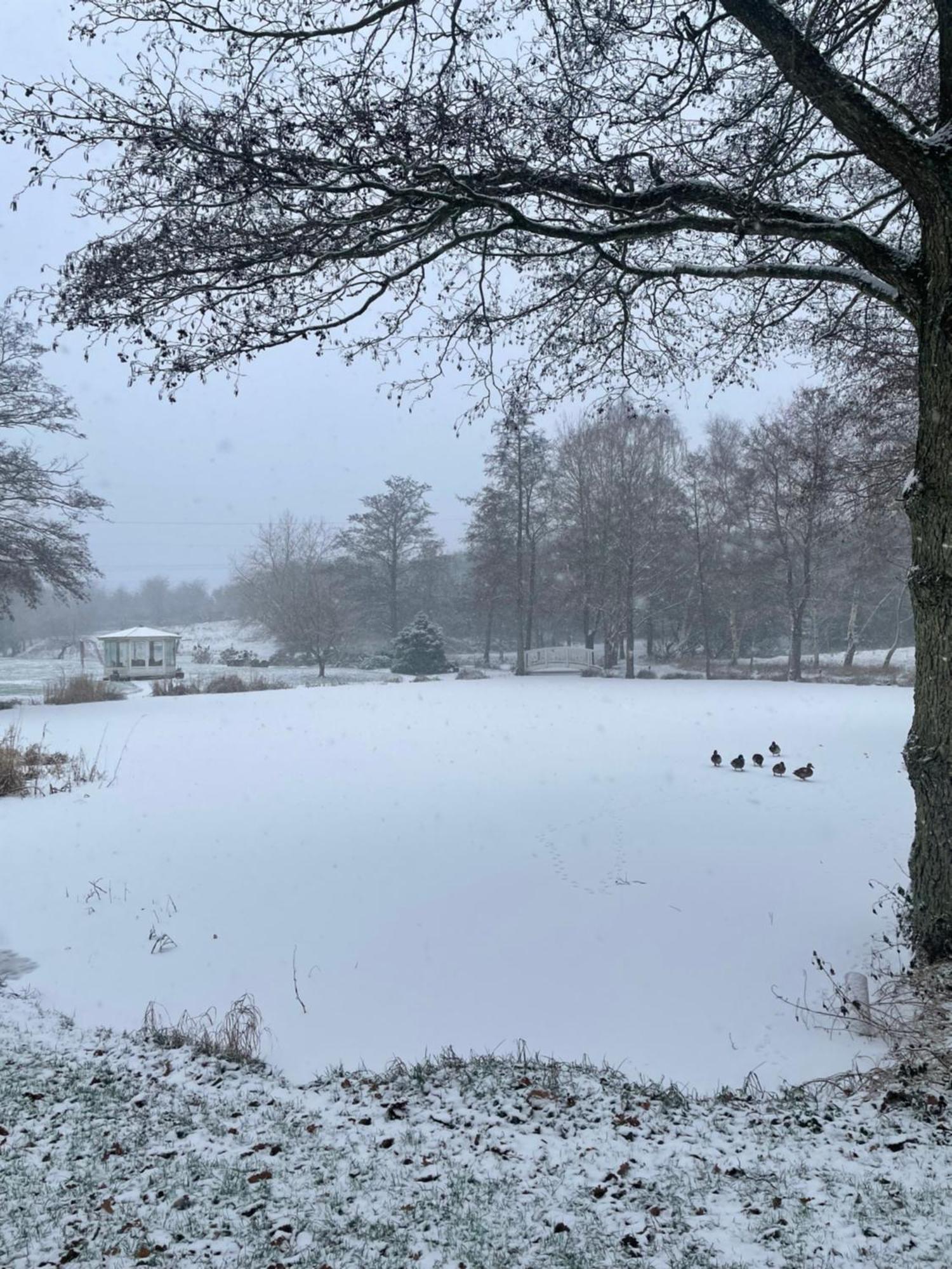 Vila Lille Grynborg Blommenslyst Exteriér fotografie